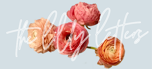 a handful of pink, blush, and peach ranunculus against a pale blue-gray background, overlaid with the text, "the lilly letters."
