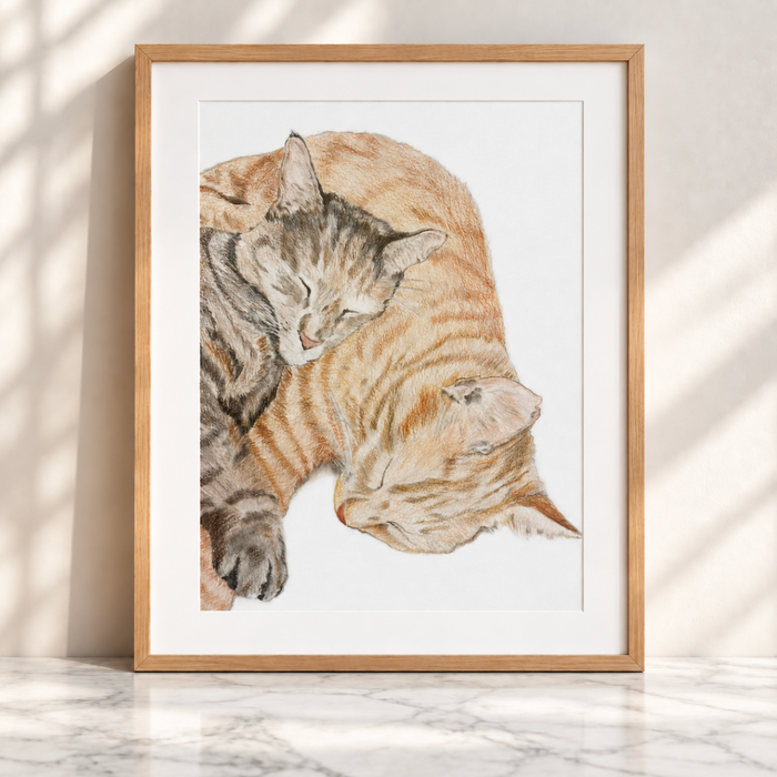 Pet Portraits