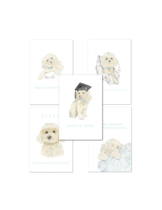 Boxed Notecard Set