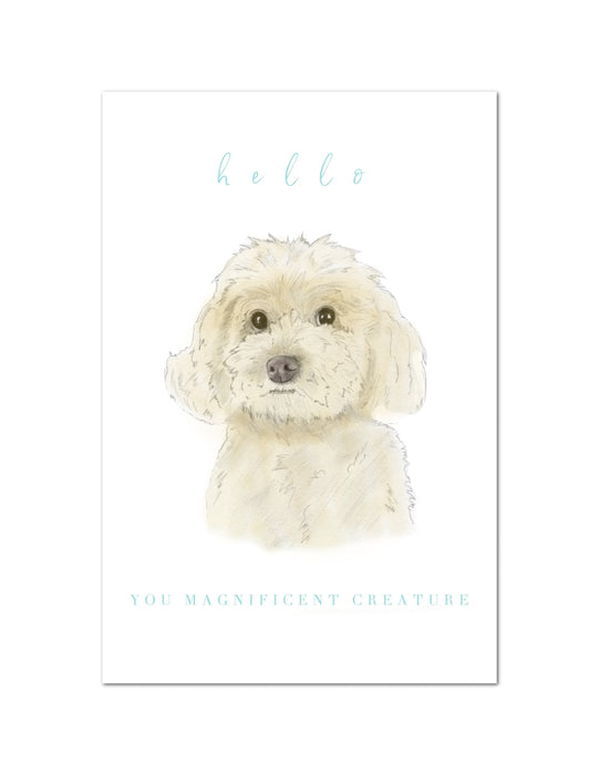 Boxed Notecard Set