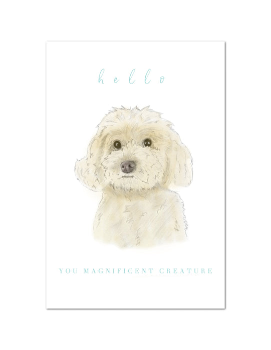 Individual Notecards