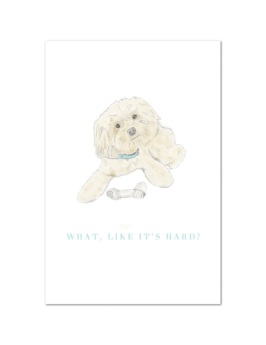 Boxed Notecard Set