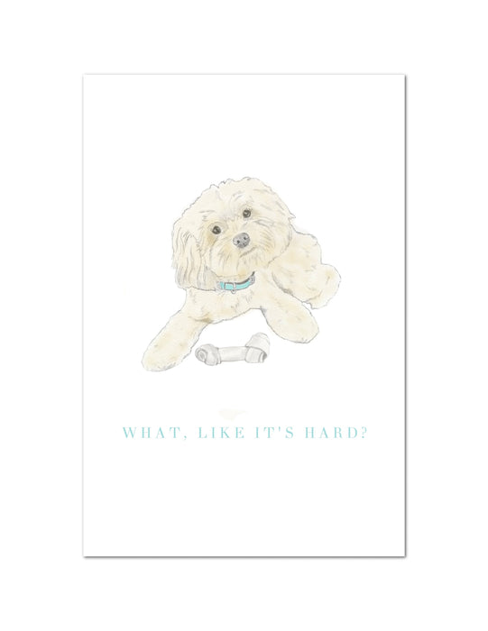 Individual Notecards