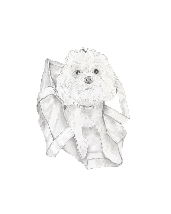 ColorWonder Coloring Sheets
